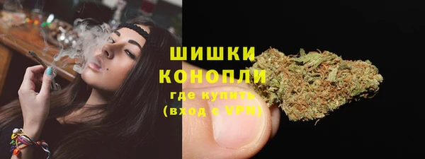 амф Аркадак