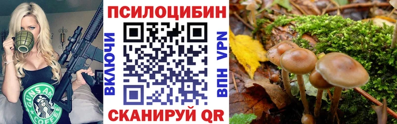 Галлюциногенные грибы Psilocybe площадка какой сайт Нурлат где купить наркотик